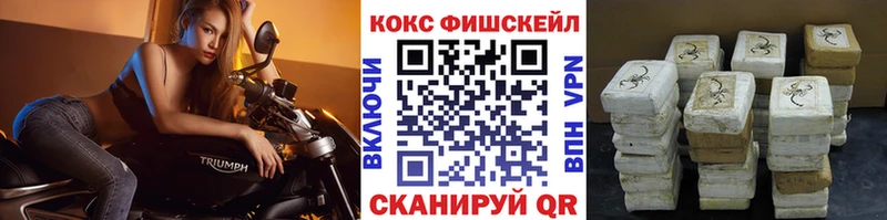 Кокаин Fish Scale  Купить  Мегион 