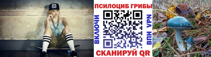 Купить где  Мегион  Галлюциногенные грибы Cubensis 